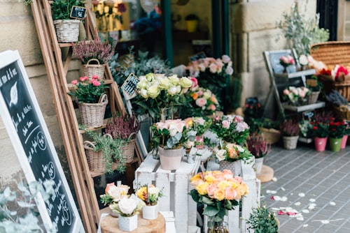Fleurs Soutien